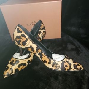Coach Lacey Leopard print calf hair heel sz 8